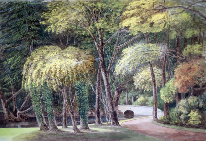 Turvey Abbey Pond and Bridge